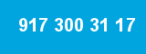 917 300 31 17